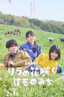 丁香花高清完整版播放