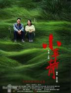 《小草青青高清免费观看电视剧大全》
