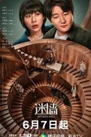 《迷墙》电视剧免费观看全集高清完整版在线播放